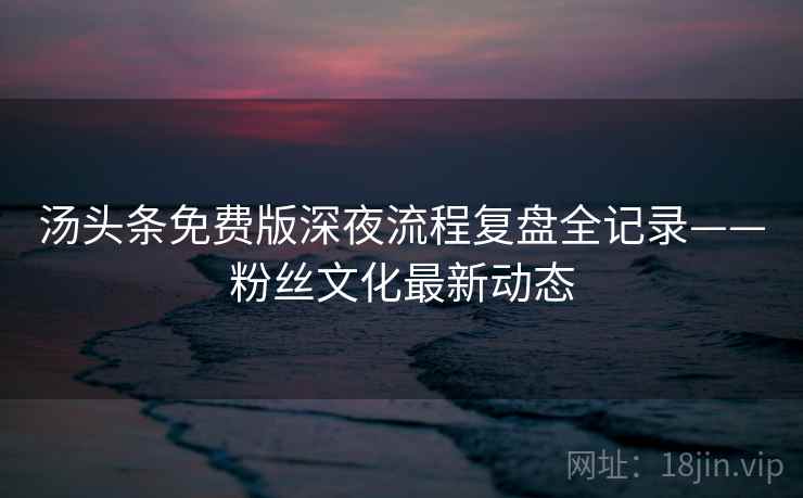 汤头条免费版深夜流程复盘全记录——粉丝文化最新动态