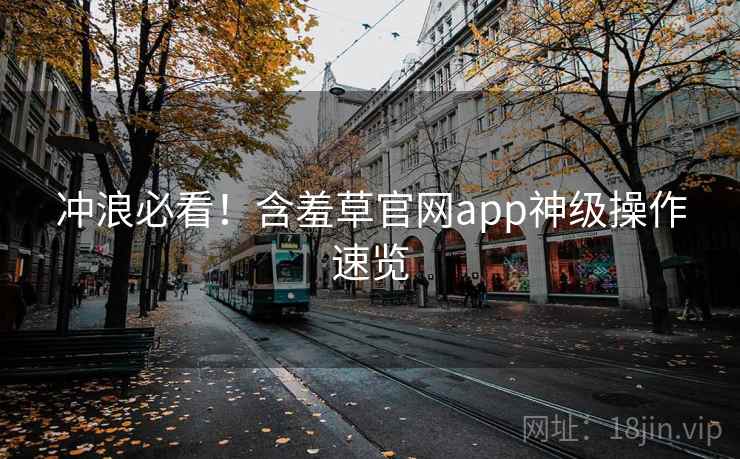 冲浪必看！含羞草官网app神级操作速览